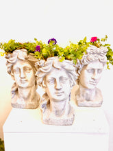 Load image into Gallery viewer, Classical Julies