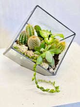 Load image into Gallery viewer, Cube Dude