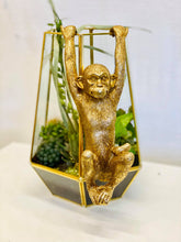 Load image into Gallery viewer, Terrarium Tom