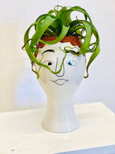 Load image into Gallery viewer, Air Plant Anthony