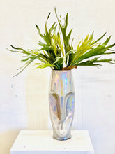 Load image into Gallery viewer, Staghorn Sidney
