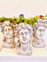 Load image into Gallery viewer, Classical Julies