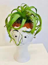 Load image into Gallery viewer, Air Plant Anthony
