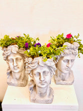 Load image into Gallery viewer, Classical Julies