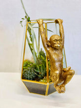 Load image into Gallery viewer, Terrarium Tom