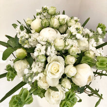 Load image into Gallery viewer, Sophisticated Sylvia