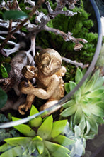Load image into Gallery viewer, Funky Monkey Bottle Garden