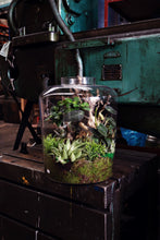Load image into Gallery viewer, Funky Monkey Bottle Garden