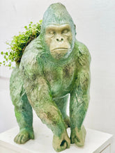 Load image into Gallery viewer, Monster Monkey Marvin