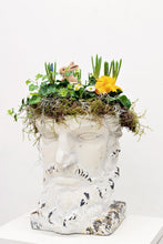 Load image into Gallery viewer, Spring Steve
