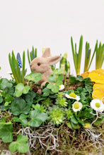 Load image into Gallery viewer, Spring Steve