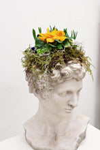 Load image into Gallery viewer, Spring Samson