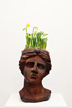 Load image into Gallery viewer, Rusty Dee