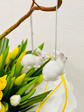 Load image into Gallery viewer, White Rabbit Spring