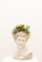 Load image into Gallery viewer, Spring Samson
