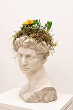 Load image into Gallery viewer, Spring Samson