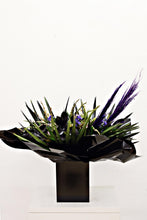 Load image into Gallery viewer, Back the New Black