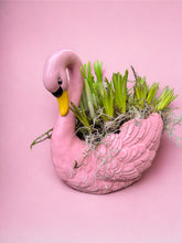 Load image into Gallery viewer, Mums spring swan
