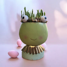 Load image into Gallery viewer, Fiona Frog - Weekly Special
