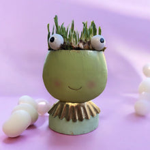 Load image into Gallery viewer, Fiona Frog - Weekly Special
