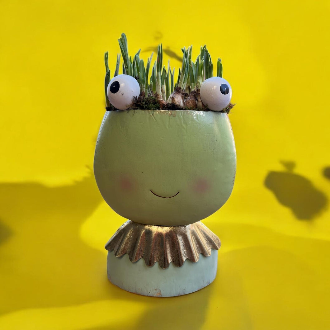 Fiona Frog - Weekly Special