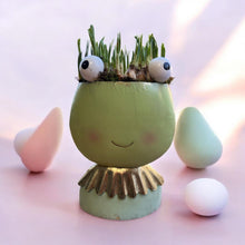 Load image into Gallery viewer, Fiona Frog - Weekly Special
