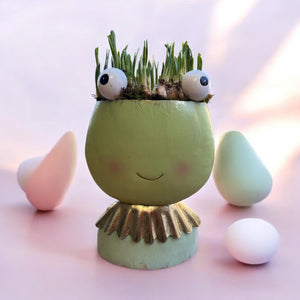 Fiona Frog - Weekly Special