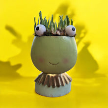 Load image into Gallery viewer, Fiona Frog - Weekly Special
