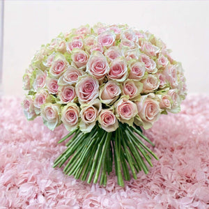 100 Pink Roses - Weekly Special