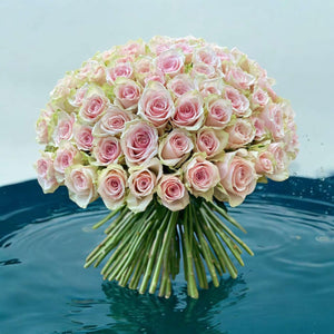 100 Pink Roses - Weekly Special