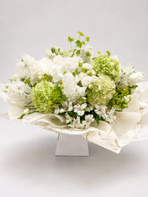 Load image into Gallery viewer, Hydrangea Summer - Weekly Special

