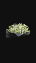 Load and play video in Gallery viewer, Freesia Garden - Weekly Special
