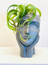 Load image into Gallery viewer, Air Plant Annie
