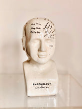 Load image into Gallery viewer, Small Phrenology head
