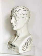 Load image into Gallery viewer, Large Antique effect Phrenology head
