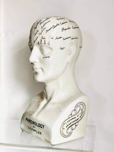 Large Antique effect Phrenology head