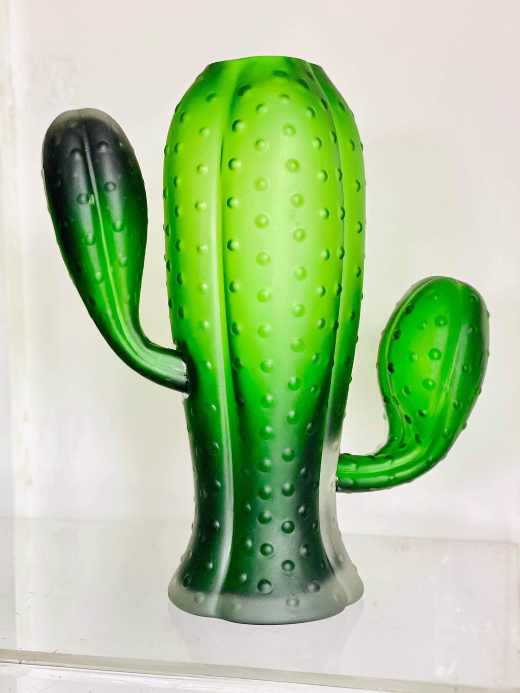 Large glass cactus vase