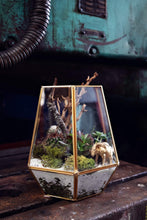 Load image into Gallery viewer, Gold Terrarium (Large)
