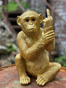 Up Yours Monkey