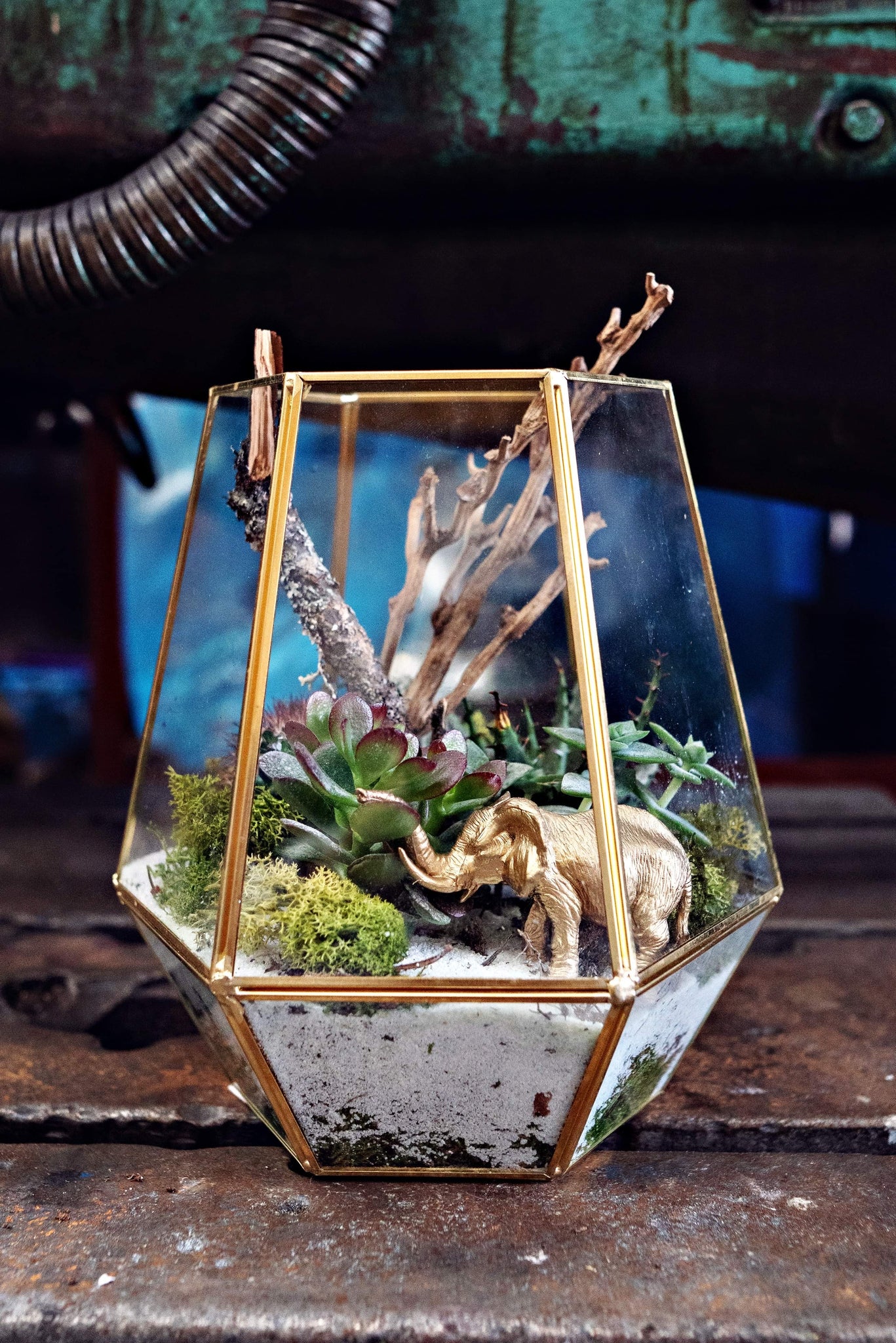 gold terrarium with succulents Gold Terrarium (Large) – Red Floral Architecture