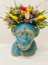 Load image into Gallery viewer, Sylvia Spring Monkey
