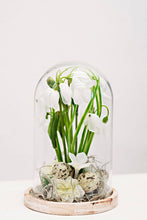Load image into Gallery viewer, The Snowdrop Dome
