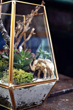 Load image into Gallery viewer, Gold Terrarium (Large)

