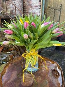 Mums Tulip Vase