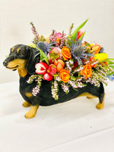 Load image into Gallery viewer, Donna the Dachshund
